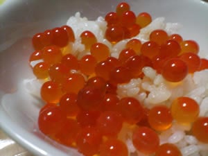 �傫�ȃC�N��