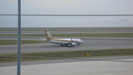 ANA