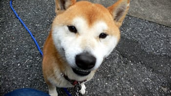 ��