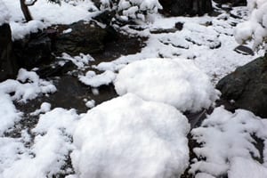 雪・・・。