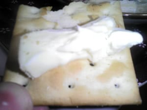�s�G�_���O����