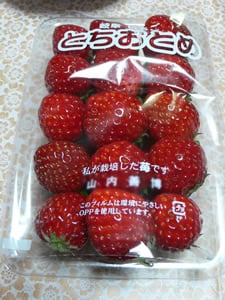 �C�`�S