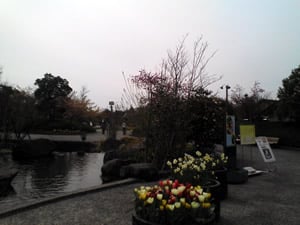 逆光です。