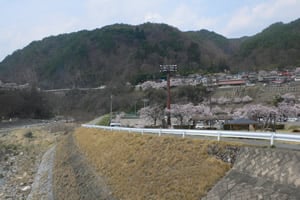 河川敷