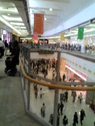 �C�I����_�X��