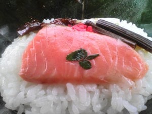 �p�t���i