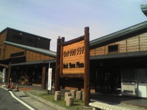 ロック・ガーデンひちそう