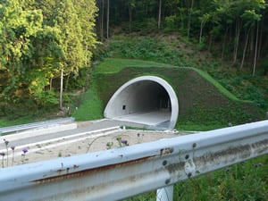 �V53�����g���l��