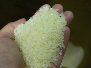 白米