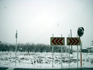 �C�I�����[���b�{���a�ǂ��Ȃ�ł��傤