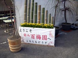 百梅園