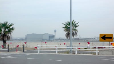 �C�I�����[���튊���悢��n��