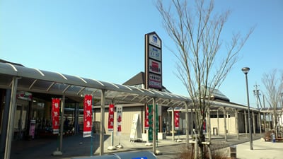 道の駅いが