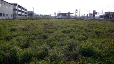 ゲンキー垂井店