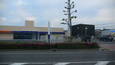 �h���b�O���^�J
