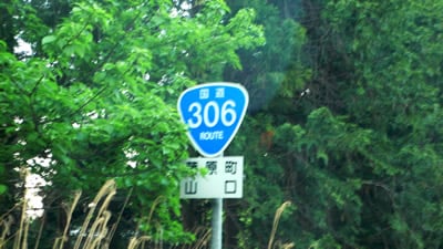 ����306����