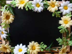 �E�F���J���{�[�h