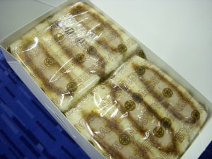 �܂���̃J�c�T���h
