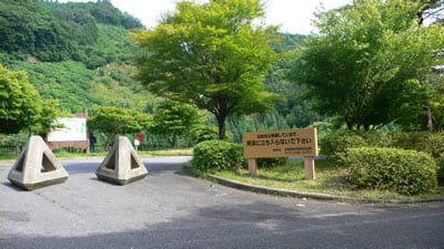 �鎭�X�J�C���C��