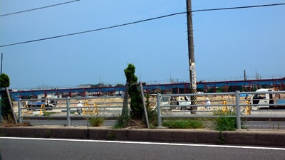 �C�I���͌|SC