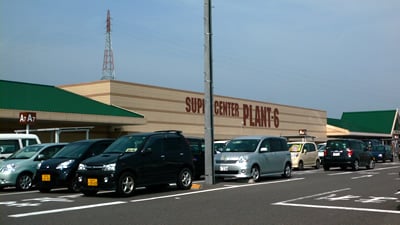 PLANT6