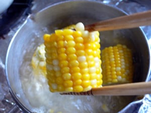 �Ƃ����낱��