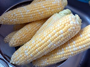 �Ƃ����낱��
