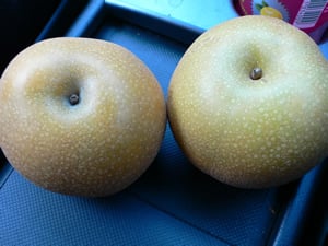 �L����