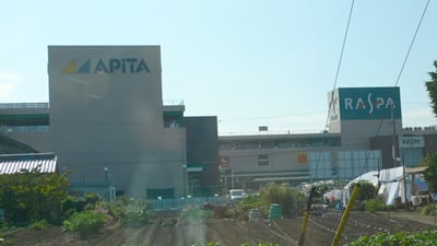 ���X�p�䐓