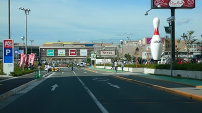 �C�I���l���s��