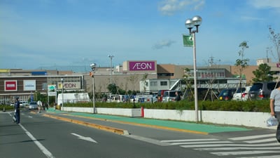 �C�I���l���s��