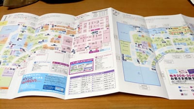 �C�I���l���s��