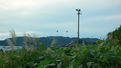 �o���[�����X