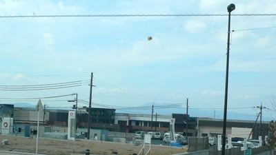 �t�H���I��Èꗢ�R�͂�����������