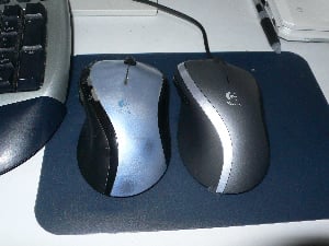 マウス