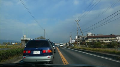 �C�I�����[�����Â̏a��