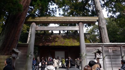 �L���_�{